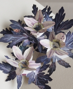 Wood Anemone from my artist Book "Beggining of the Blooming Season"