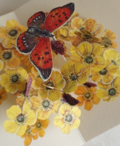  from myButtercup from my artist Book "Beggining of the Blooming Season"